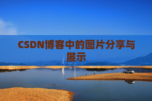 CSDN博客中的图片分享与展示